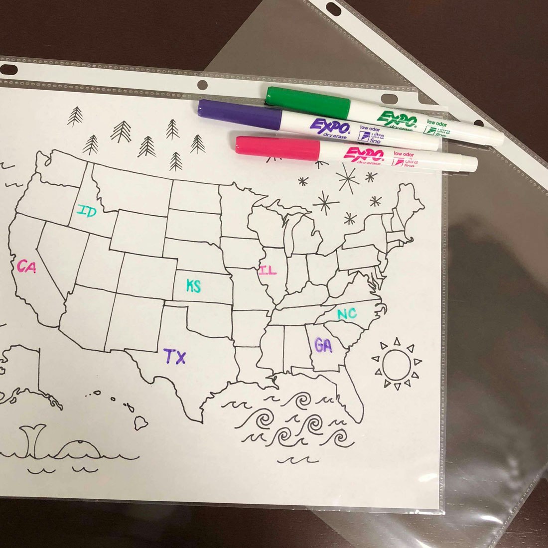 map-of-united-states-with-states-labeled-by-expo-thin-markers